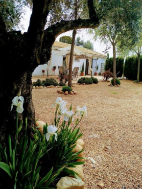 La Casa del Abuelo Jose, Marmolejo